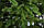 Ялинка штучна Лита "Ковалевська" зелена 1,8 м, фото 2