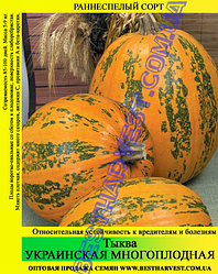 Насіння гарбуза Український багатоплідний 0.5 кг