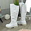Чоботи білі жіночі шкіряні на товстій підошві. Батал!, фото 2