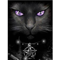 Алмазная вышивка 5D Черная кошка