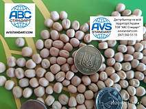 Затятий імпортний горох Стабіл. Оригінатор: Заатбау / Австрія.