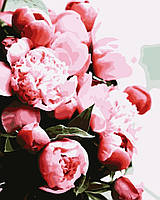 Розпис за номерами "Розовые пионы"  Лавка Чудес 40 x 50 см (в коробке) (LC40002)