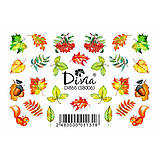 Наклейки на нігті Divia "Слайдер дизайн" на білій підложці Di865 №SB006, фото 2