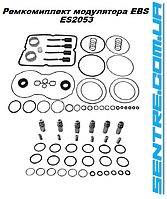 B1-2519-AK Ремкомплект модуля причепа ES2053, II39782N50 MAY