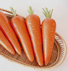 Морква Абако F1 (рання) Seminis/Нідерланди 0,5 г