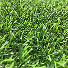 Штучна трава 20 мм завширшки 2 м ecoGras SD-20 (штучний газон в рулонах), фото 4