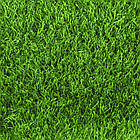 Зелена штучна трава для футболу 43 мм завширшки 4 м CCGras Nature D3-40 FIFA Certificate, фото 3