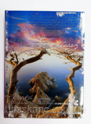 Ежедневник недатированный А6 Феникс 192 л, скалы, твердая обложка 18572, фото 1
