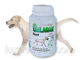 ORLING Гелакан Фаст(Gelacan Fast) - КРАЩА ДОБАВКА !!!УВАГА!!! ЧЕХІЯ!!! 150г