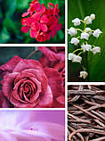 Аромадиффузор "LONDON" – Geranium & Rose - Kot'e (ОПТ), фото 3