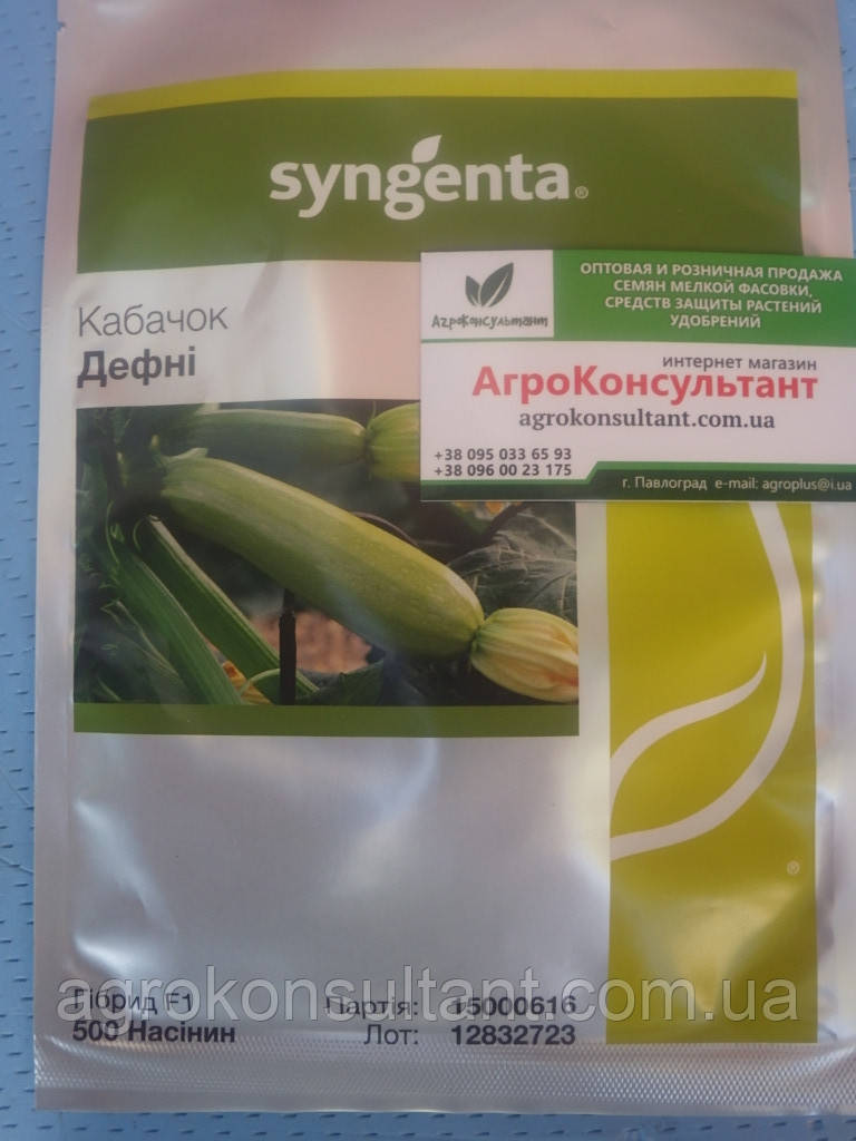 Насіння кабачка Дефні / Дафна F1 (Syngenta), 500 насінин - ранньостиглий гібрид світло-зеленого кабачка