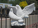 Скульптури голубів. Скульптура з полімеру Голуби 30*41 см, фото 2