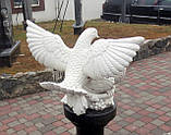 Скульптури голубів. Скульптура з полімеру Голуби 30*41 см, фото 3