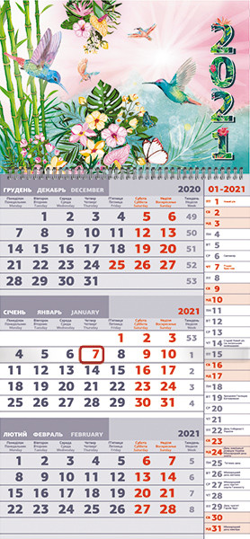 Календар настінний на квартальний 2021 р. "Колібрі" Фоліо плюс, фото 1