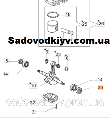 Сальник колінвала (правий) для бензопилки Oleo-Mac 936, 940 (3050024AR)