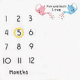 Фотопелюшка/фотофон 12 місяців для перших фотосесій малюка Baby Pictures поливання (ВР-21437), фото 9