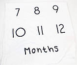 Фотопелюшка/фотофон 12 місяців для перших фотосесій малюка Baby Pictures поливання (ВР-21437), фото 6