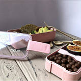 Еко ланч-бокс Lunch Box 750 ml, рожевий, фото 5