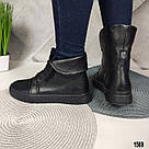 Демісезонні шкіряні жіночі черевики-кеди, фото 7