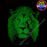 Дитячі шорти для хлопчика з принтом "Лев", малюнок світиться в темряві. Чорні шортики для дітей 7-10 років 122-128, фото 2