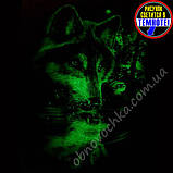 122-128 Дитячі шорти для хлопчика з принтом "Вовк відбиття", світиться у темряві Шортики для дітей 6-8 років, фото 5