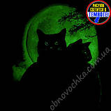 Жіноча приталена стрейчева футболка "Два кота" - малюнок світиться в темряві | Флуоресцентний одяг для жінок 50/52, фото 3