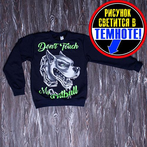 Зріст 128-134 Толстовка на флісі без капюшона для дітей "Пітбуль"/ Дитяча кофта, світшот, джемпер на хлопчика 7-14 років, фото 1