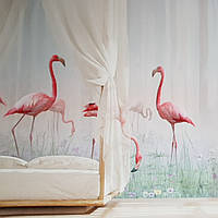 Фотообои бесшовные флизелиновые экологически чистые Caribbean flamingo птицы розовый фламинго на траве