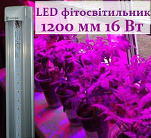 LED-фітосвітильник 1200 мм T8-2835-1.2FS R:B=4:2 світлодіодний світильник для рослин синьо-червоний