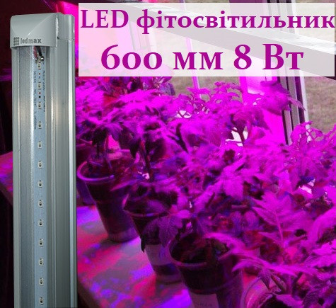 LED фітосвітильник для рослин 600 мм 8 Вт T8-2835-0.6 FS R:B=4:2 4 червоних 2 синіх