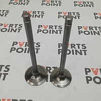 Клапан впускний, клапан випускний Andoria (Андорія) SW400, SW266, 6CT107