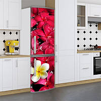 Наклейки на холодильник, цветы сочные, 180х60 см - Лицевая(В), с ламинацией