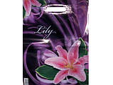 Пакет із прорізною ручкою ламінований "Lily" (30х40) 50 шт., фото 3