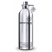 Парфумована вода унісекс Montale Fougeres Marine 100ml (test)