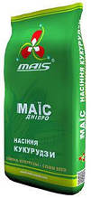ДМС 3709, ФАО 370, насіння кукурудзи Маїс (Mais)