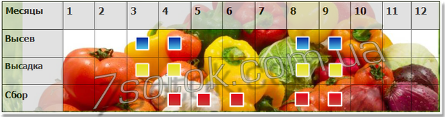 висів збір насіння редиски