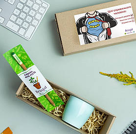 Набір комплімент зростаючі олівці вчителю подарунок