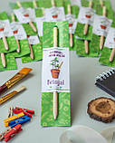 Міні набір зростаючих олівців подарунок, фото 8