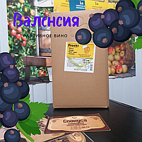 Вино "Валенсія" (аромат смородини) червоне напівсолодке столове ТМ Гросибенталь пак, фото 2