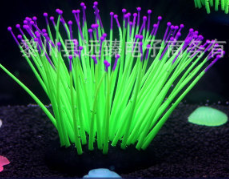 Декор для акваріума флуоресцентні морські їжачки