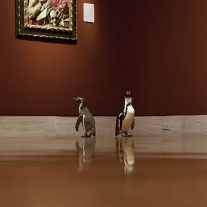 Зняті з виробництва позиції