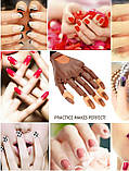 Тренувальна Рука для навчання Манікюру та розроблення Нових дизайнів на Штати +100 типсів Hand Nail (110166), фото 6