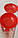 Контейнер Помідор Tupperware в яскраво-червоному кольорі, фото 4