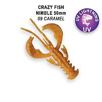 Съедобный силикон Crazy Fish Nimble 2" 50-50-9-6-F кальмар