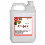 Гербіцид суцільної дії для захисту рослин Гліфат Ранголі 20 л, фото 2