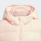 Дитячий пуховик Adidas Down Coat K (Артикул:GG3704), фото 3