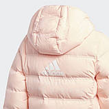 Дитячий пуховик Adidas Down Coat K (Артикул:GG3704), фото 4