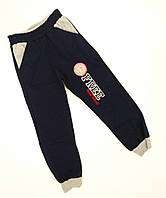 Детские теплые (начес) спортивные штаны для мальчика размер 122 (на 7 лет) Турция
