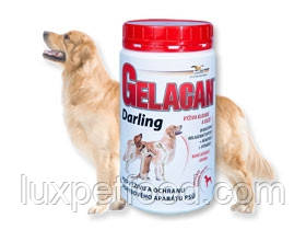 ORLING Гелакан Дарлінг (Gelacan Darling) 500г — найкраща добавка!
