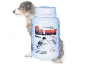 ГЕЛАКАН СЕНЬОР (GELACAN® SENIOR)!!! УВАГА!!! ЧЕХІЯ!! 150г